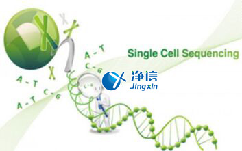 中國人自己的微流控單細胞測序儀來了！_微流控Drop-seq,微流控技術(shù)